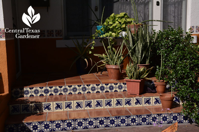 decorative tile front porch Central Texas Gardener