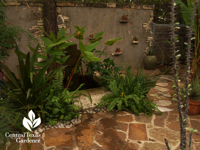 concrete patio privacy with embedded plant ledges Central Texas Gardener