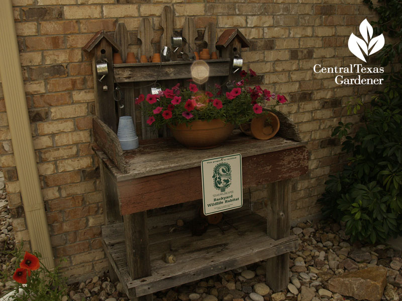 front porch charm central texas gardener