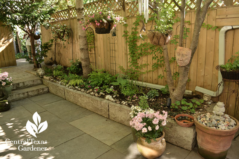 raised beds small patio Central Texas Gardener