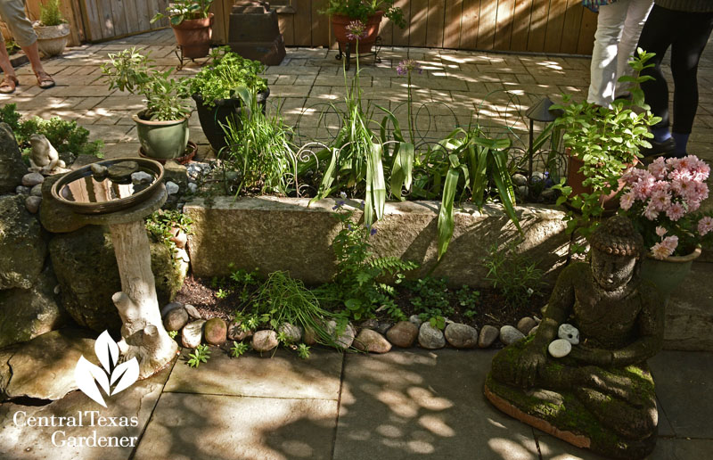 raised beds small patio Central Texas Gardener