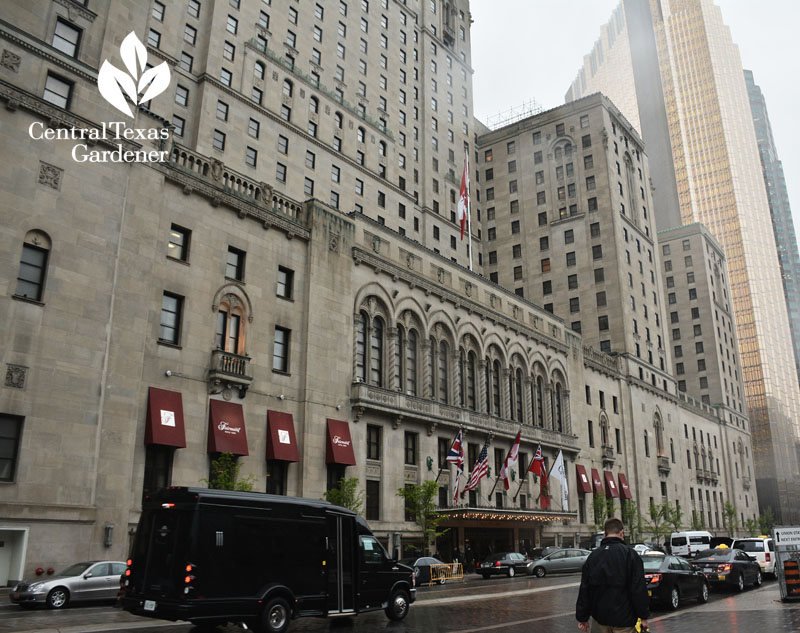 Royal Fairmont York Toronto Central Texas Gardener