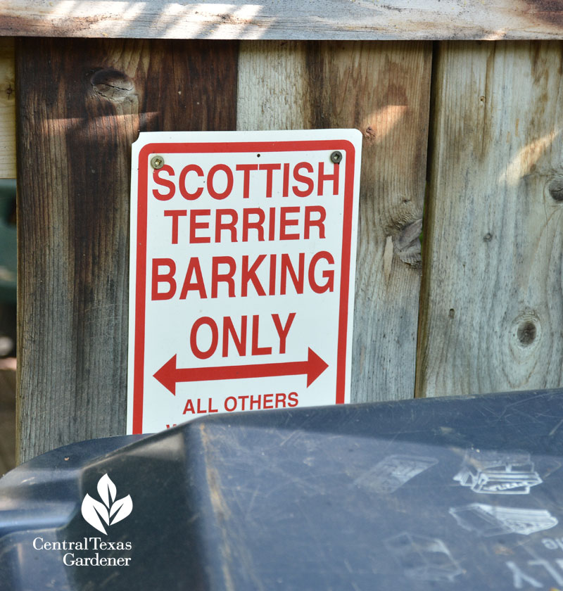 scottish terrior sign cute Central Texas Gardener