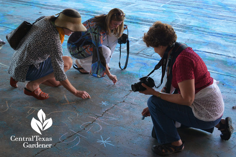 sidewalk chalk fun for adults Central Texas Gardener