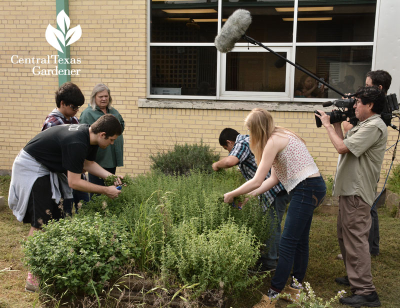 Garza Independent High School gardens Central Texas Gardener