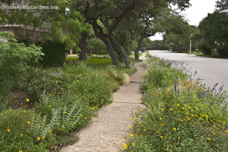 Inside Austin Gardens Tour 2015 - Gregory Thomas garden