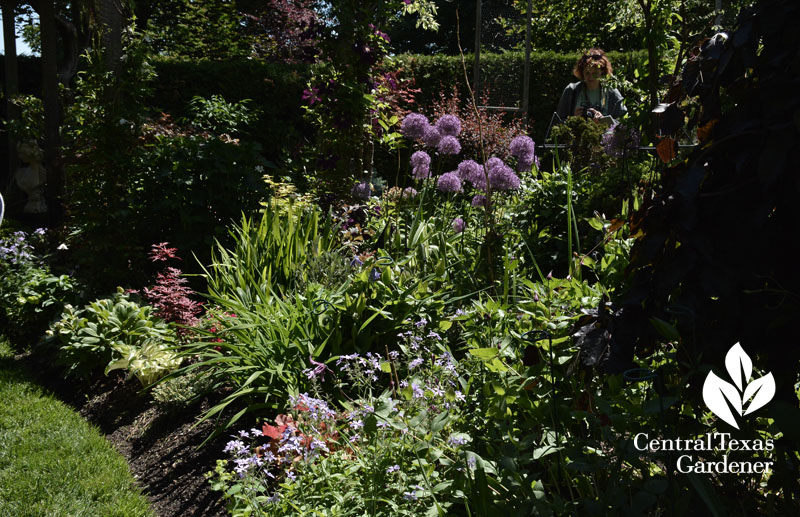 Marion Jarvie garden Toronto Central Texas Gardener