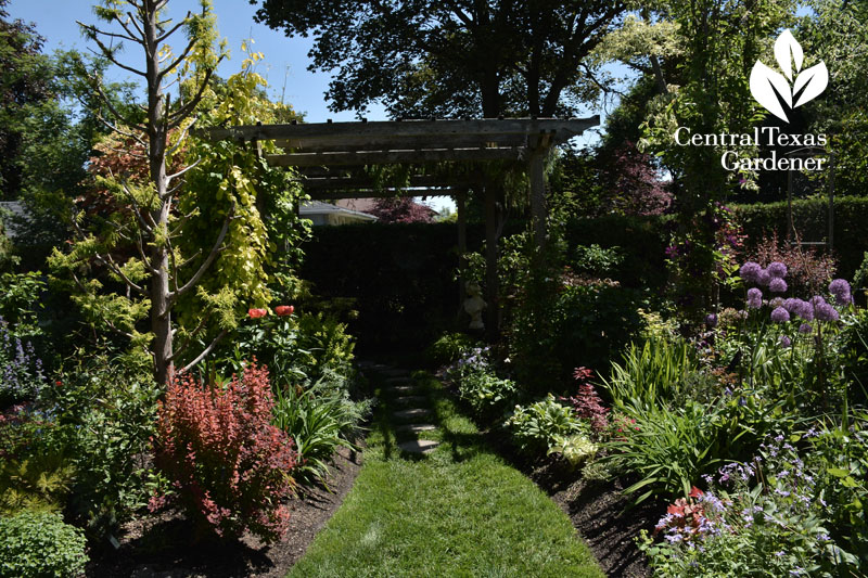 Jarvie pergola borders Central Texas Gardener