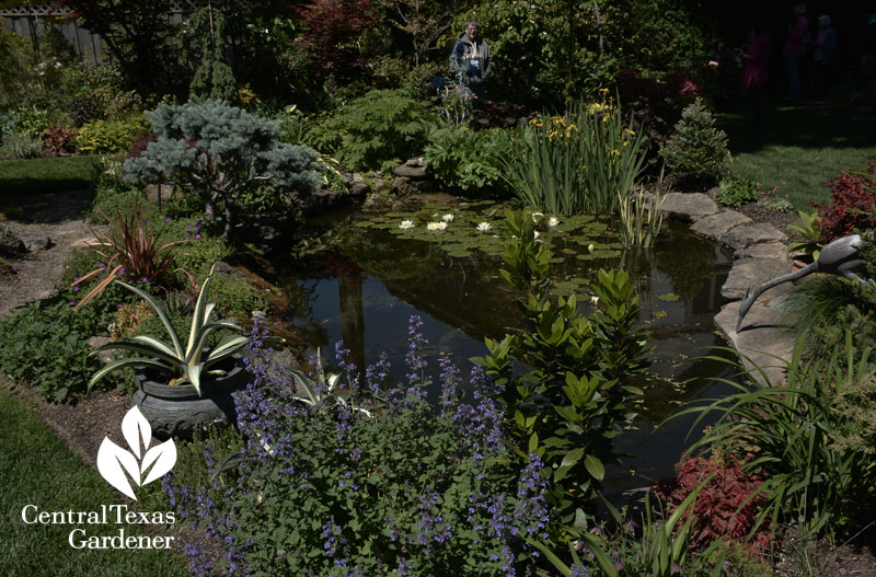 Marion Jarvie island bed pond Central Texas Gardener