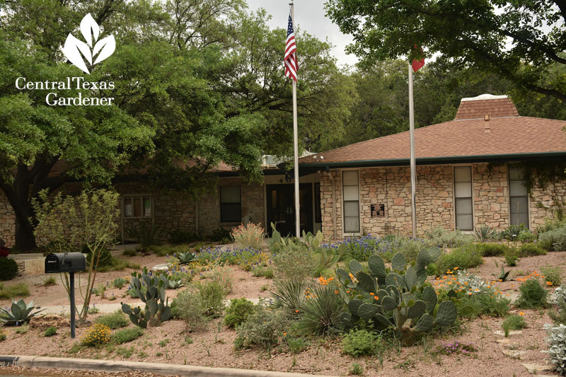 Rollingwood City Hall no lawn garden Central Texas Gardener