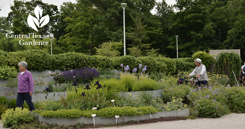 Toronto Botanical Garden galvinized raised beds Central Texas Gardener