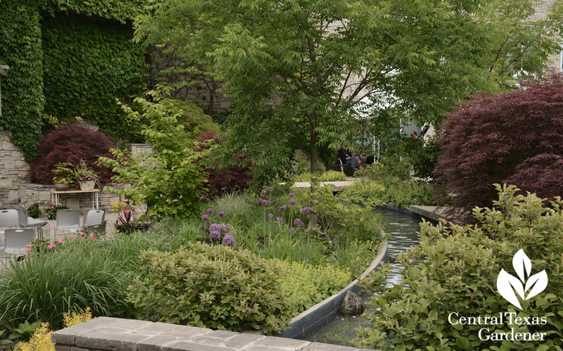 Toronto Botanical stream Central Texas Gardener