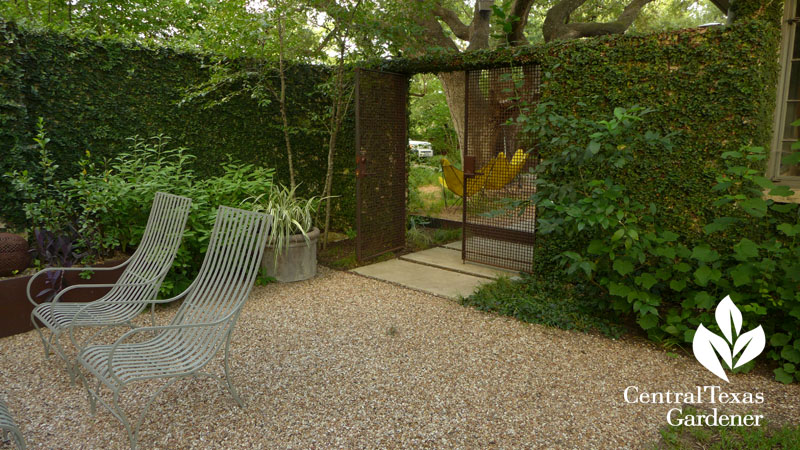 courtyard patio Ten Eyck Central Texas Gardener