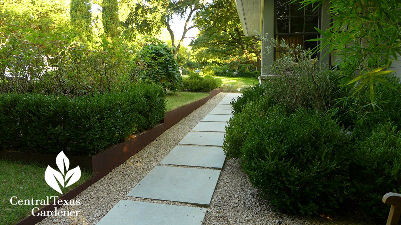 flood control pathway raised beds Thompson Central Texas Gardener