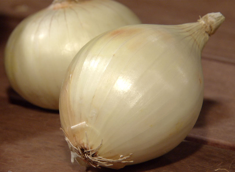 growing onions Central Texas Gardener