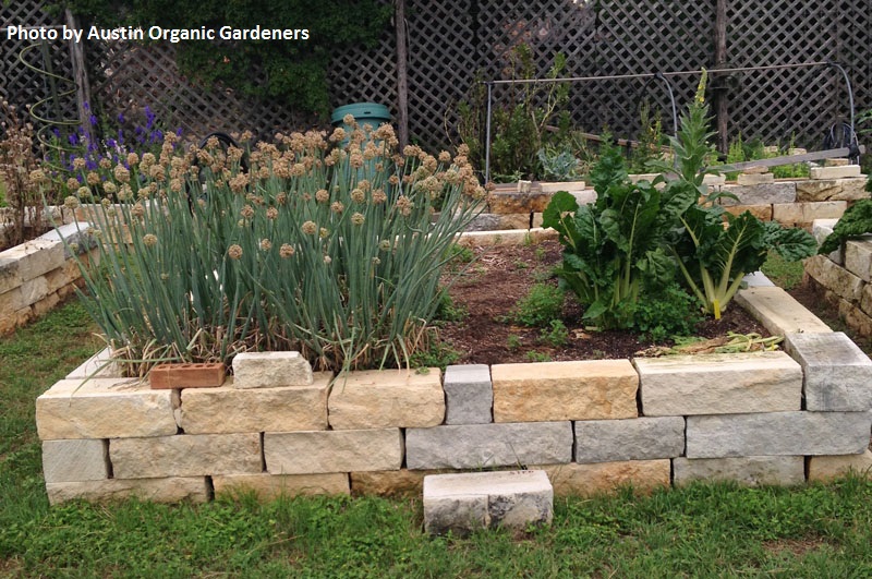 limestone raised beds Central Texas Gardener