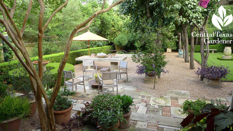 patio garden Deborah Hornickel Central Texas Gardener