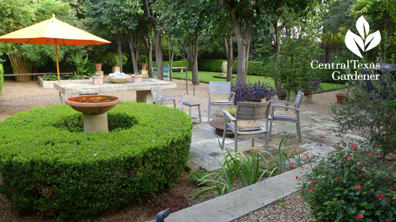 patio garden formal and casual Deborah Hornickel Central Texas Gardener