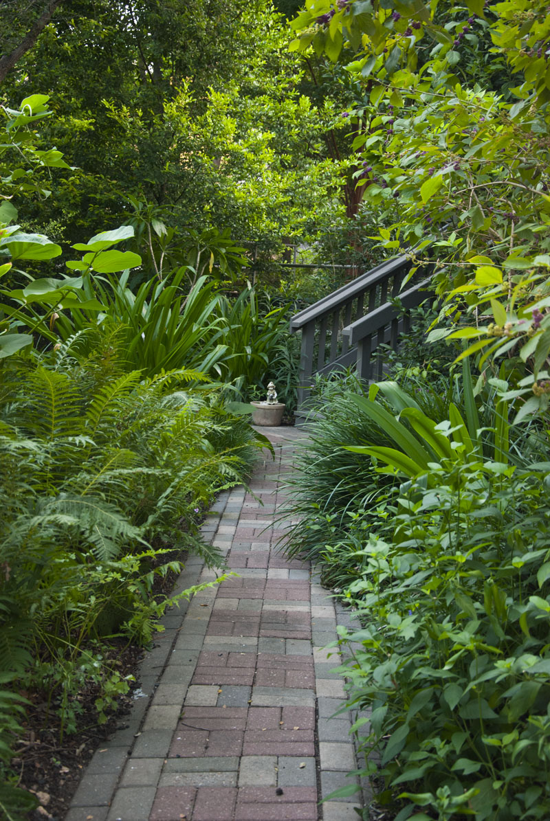Inside Austin Gardens Tour 2015 - Sue Nazar's garden