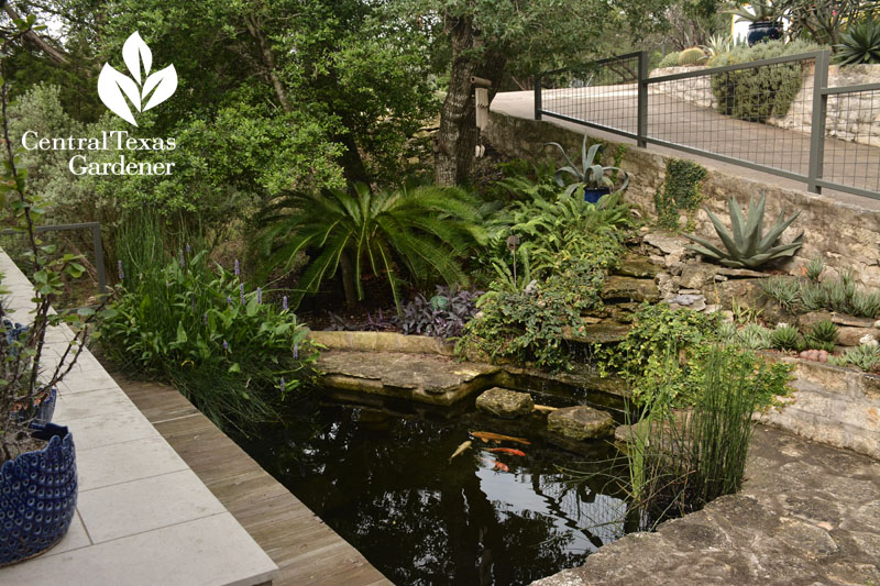 sunken pond Pavlat patio Central Texas Gardener