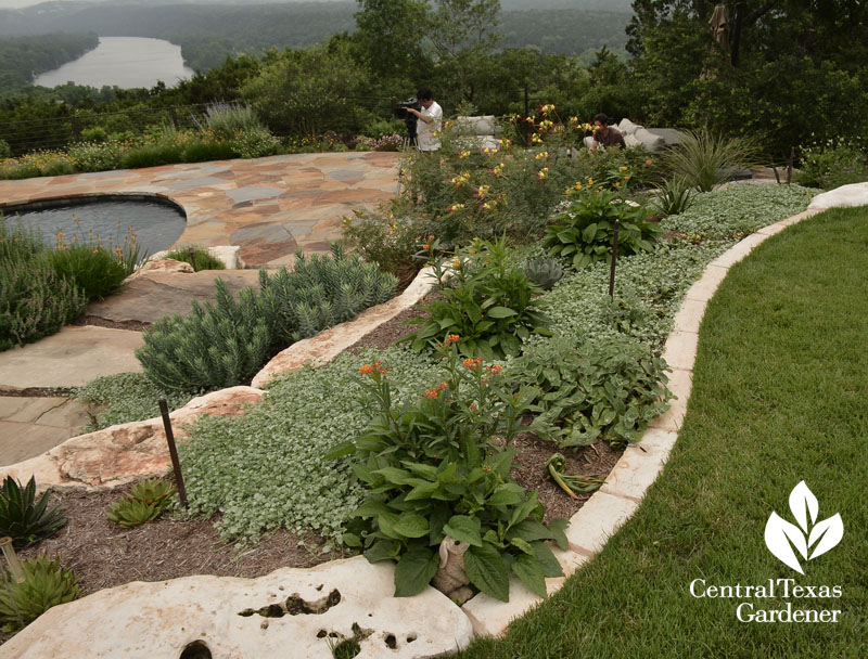 Hill Country garden texture Central Texas Gardener
