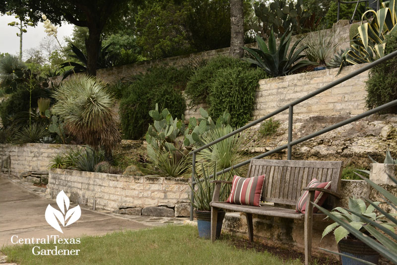 uphill raised succulent beds Pavlat Central Texas Gardener