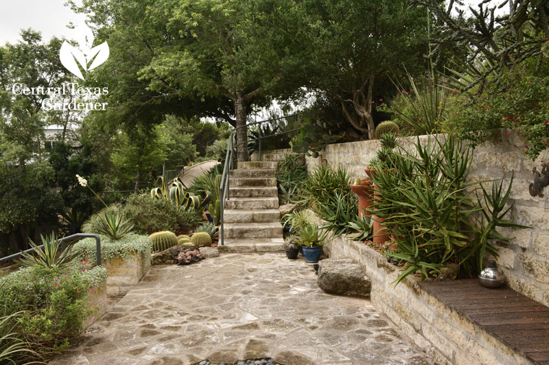 upper deck patio succulent garden Central Texas Gardener