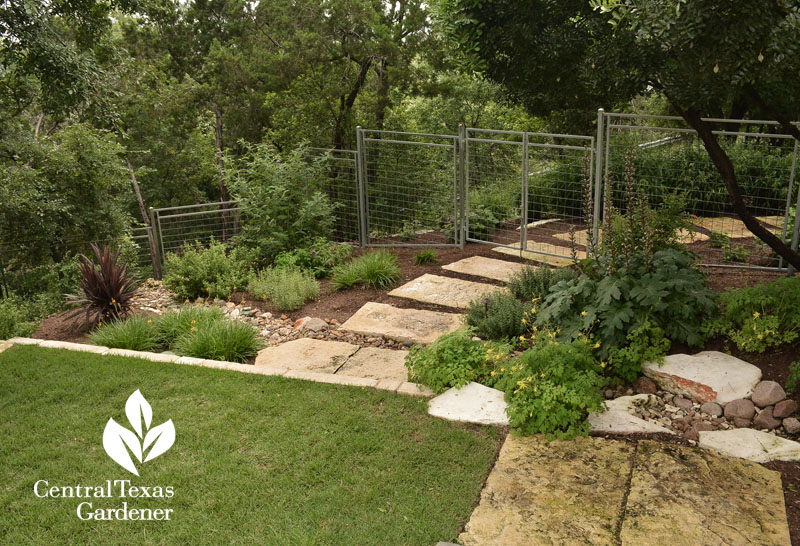 walkway stones to dry creek bed Central Texas Gardener