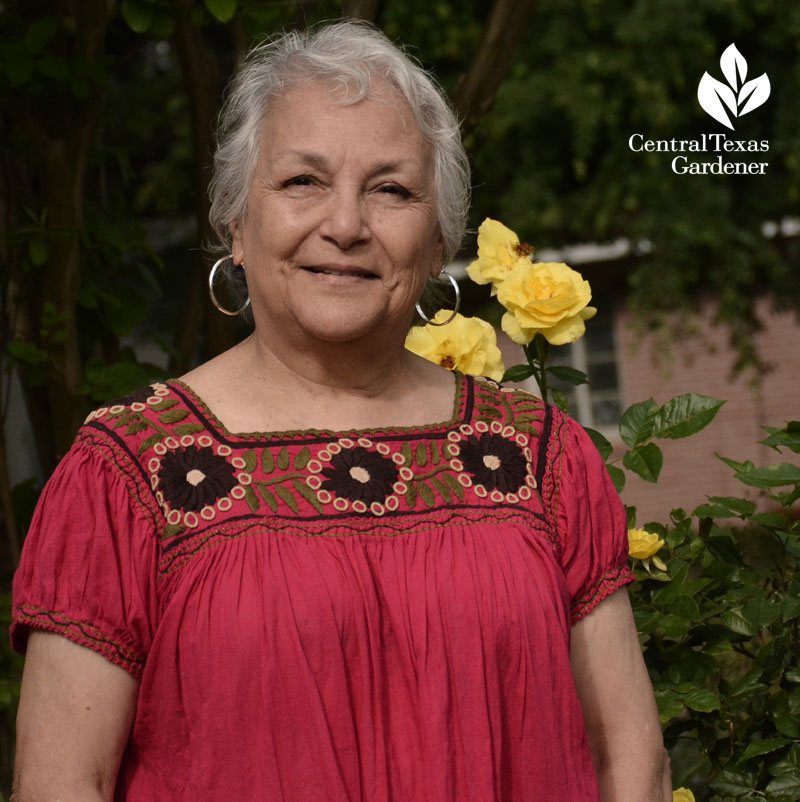 Velia Sanchez-Ruiz front yard roses Central Texas Gardener