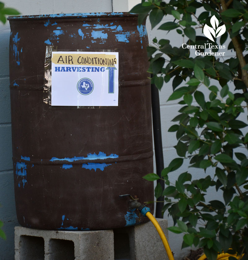 air conditioner water harvesting Central Texas Gardener