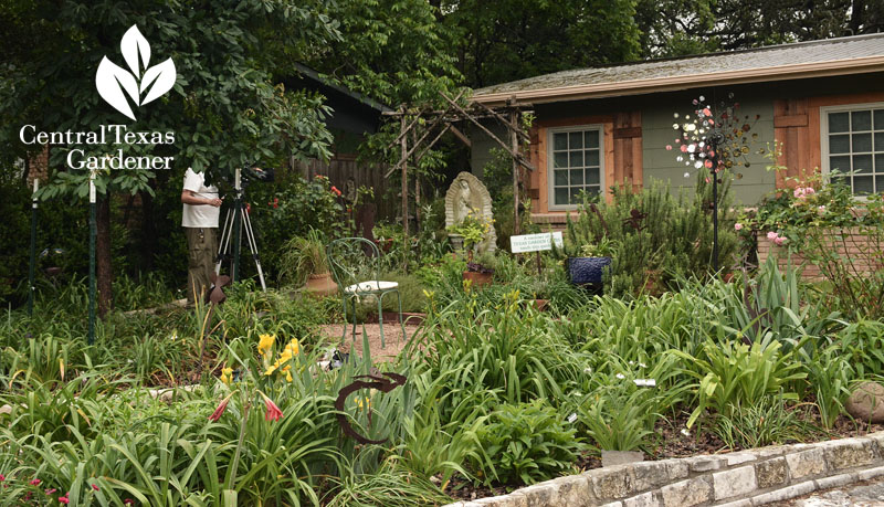 Front yard perennial and herb garden Central Texas Gardener