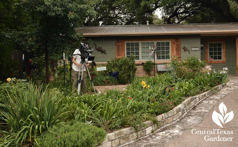 Front yard raised bed garden reduced grass Central Texas Gardener