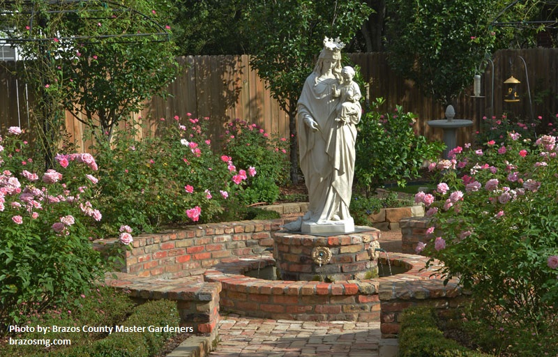 formal rose garden backyard Central Texas Gardener
