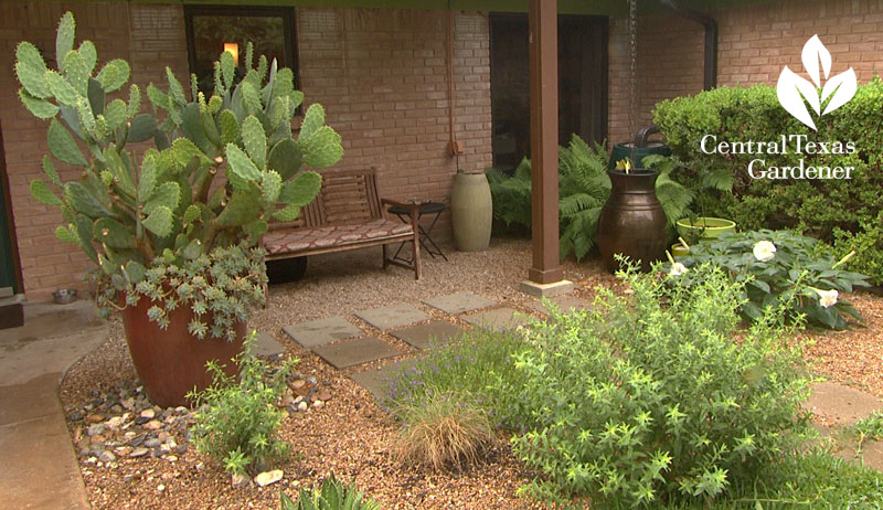 front yard patio bench and rain chain Central Texas Gardener