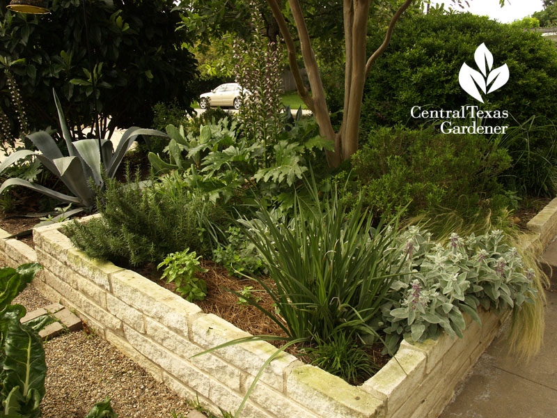 front yard limestone raised beds Central Texas Gardener