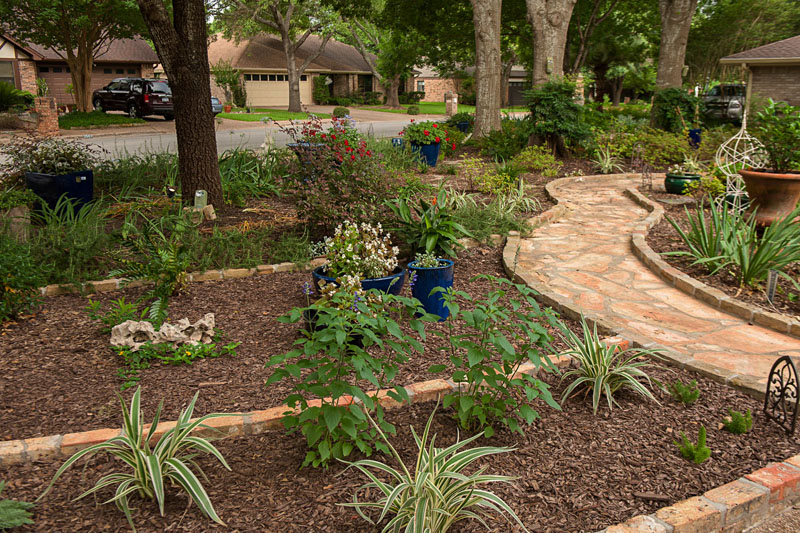 front yard stone pathway through beds