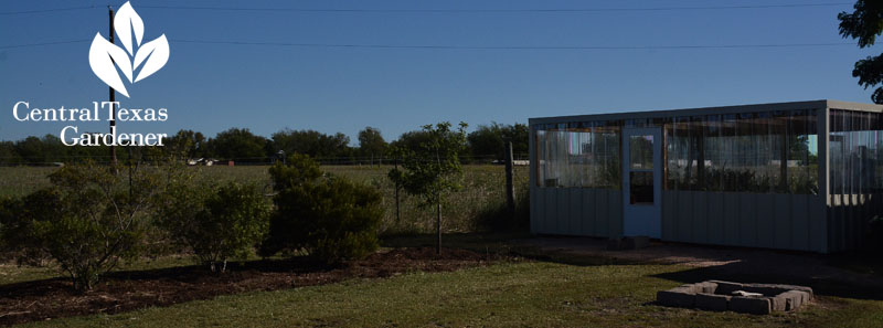 greenhouse and fruit tree fence Central Texas Gardener