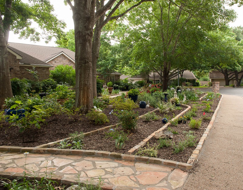 No lawn front yard garden