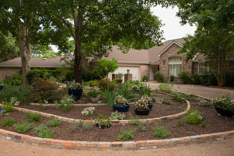 No lawn front yard garden