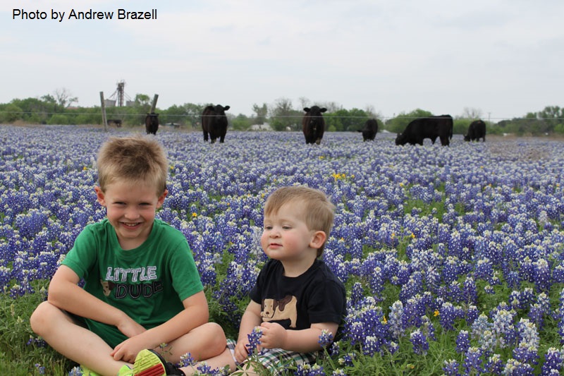 kids in bluebonnets Central Texas Gardener