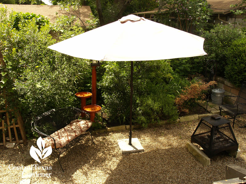 shady patio niche Central Texas Gardener