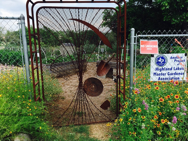 Highland Lakes Master Gardener Helping Center garden Marble Falls