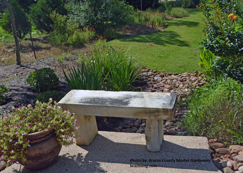 swale for water control Central Texas Gardener