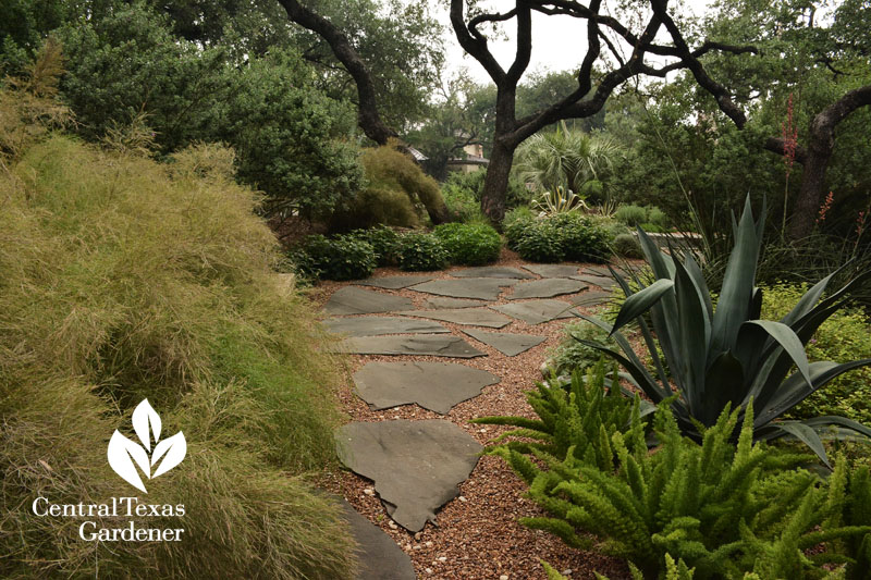 front yard secret cove Central Texas Gardener