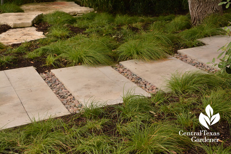 berkeley sedge pavers Central Texas Gardener