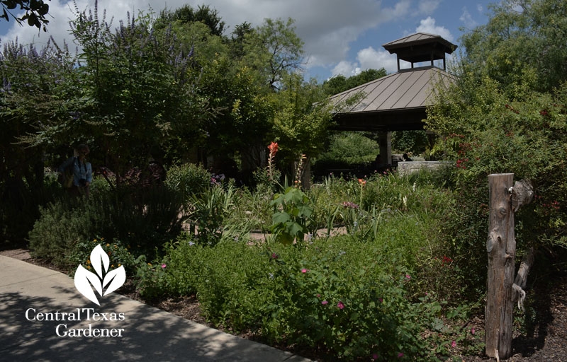 butterfly garden outside fort sam web