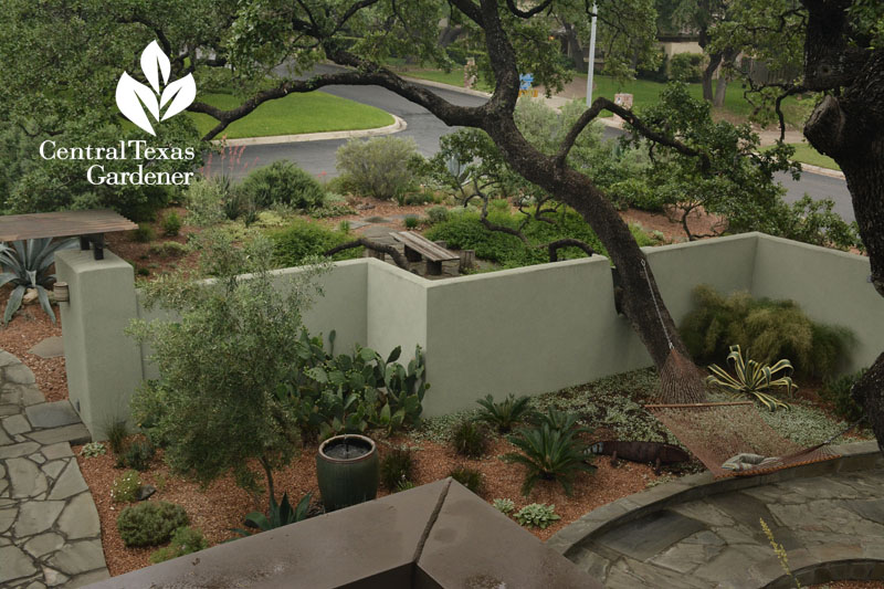 Courtyard and front garden design Central Texas Gardener