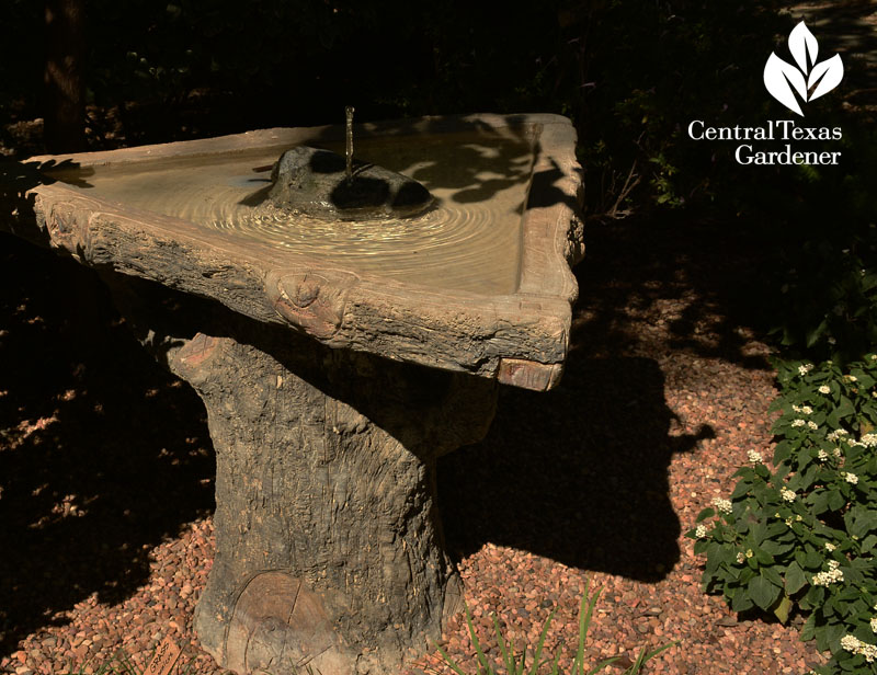 faux bois bird bath fountain Central Texas Gardener