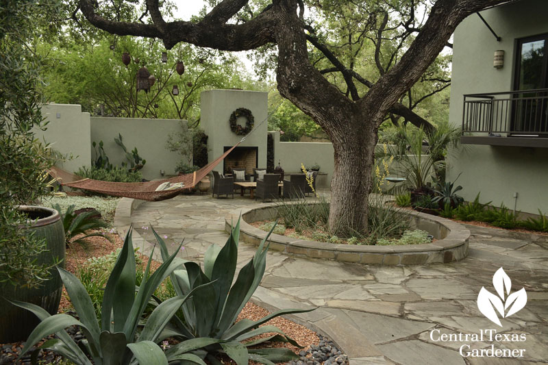 courtyard garden Central Texas Gardener