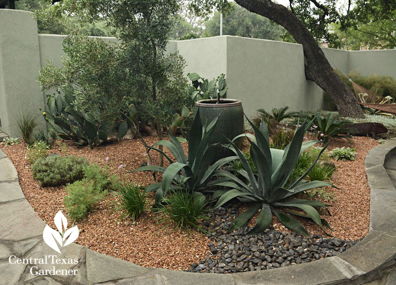 courtyard garden Central Texas Gardener